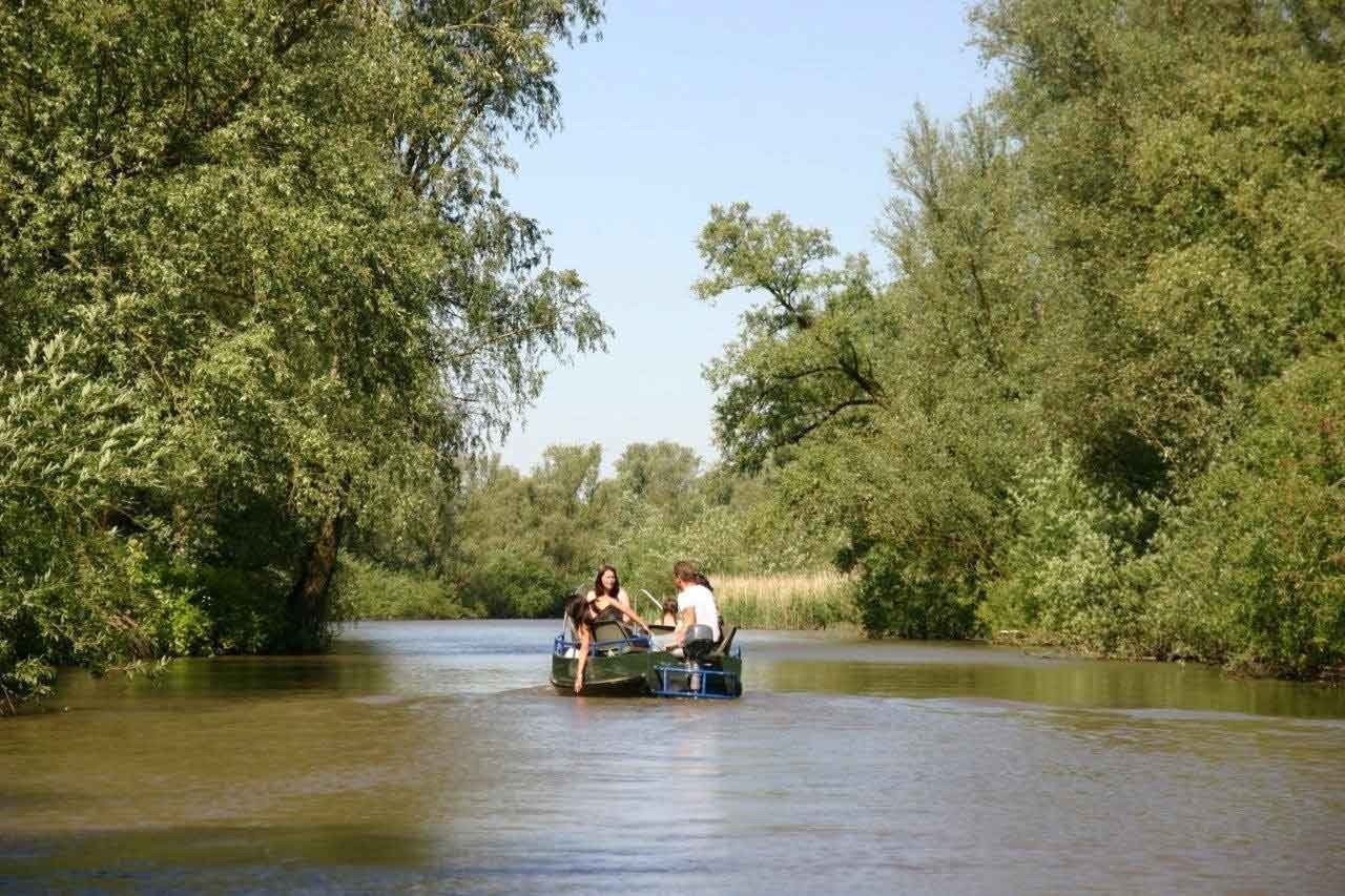 Nationaal Park De Biesbosch