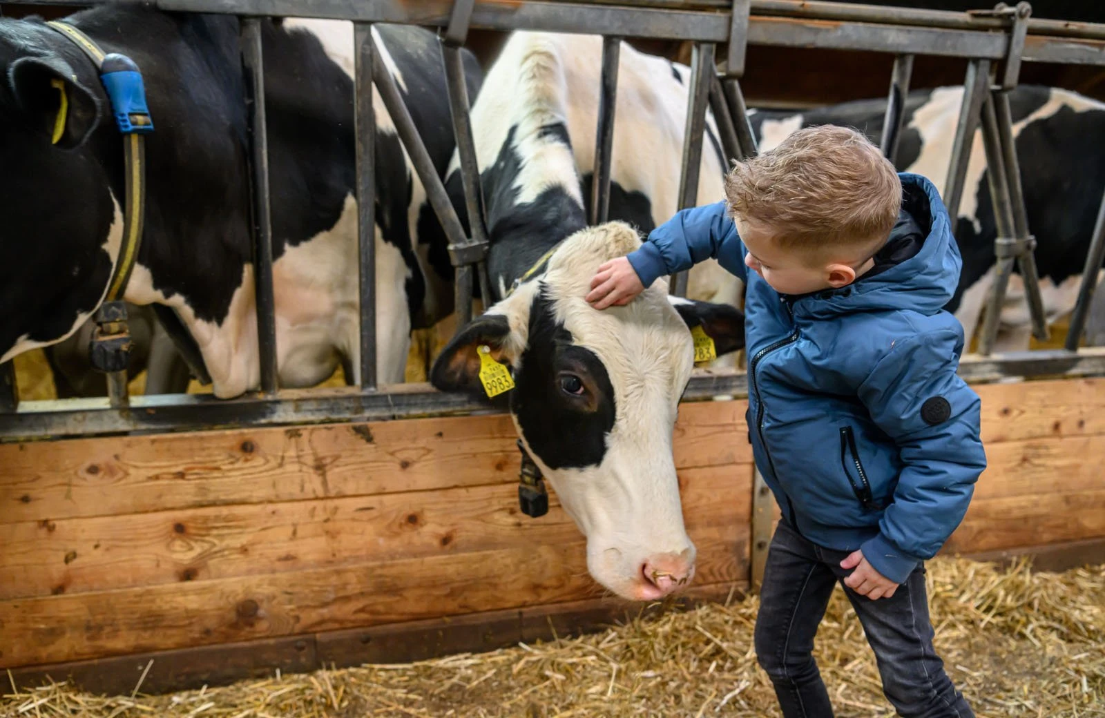 Boerderij safari bons webformaat