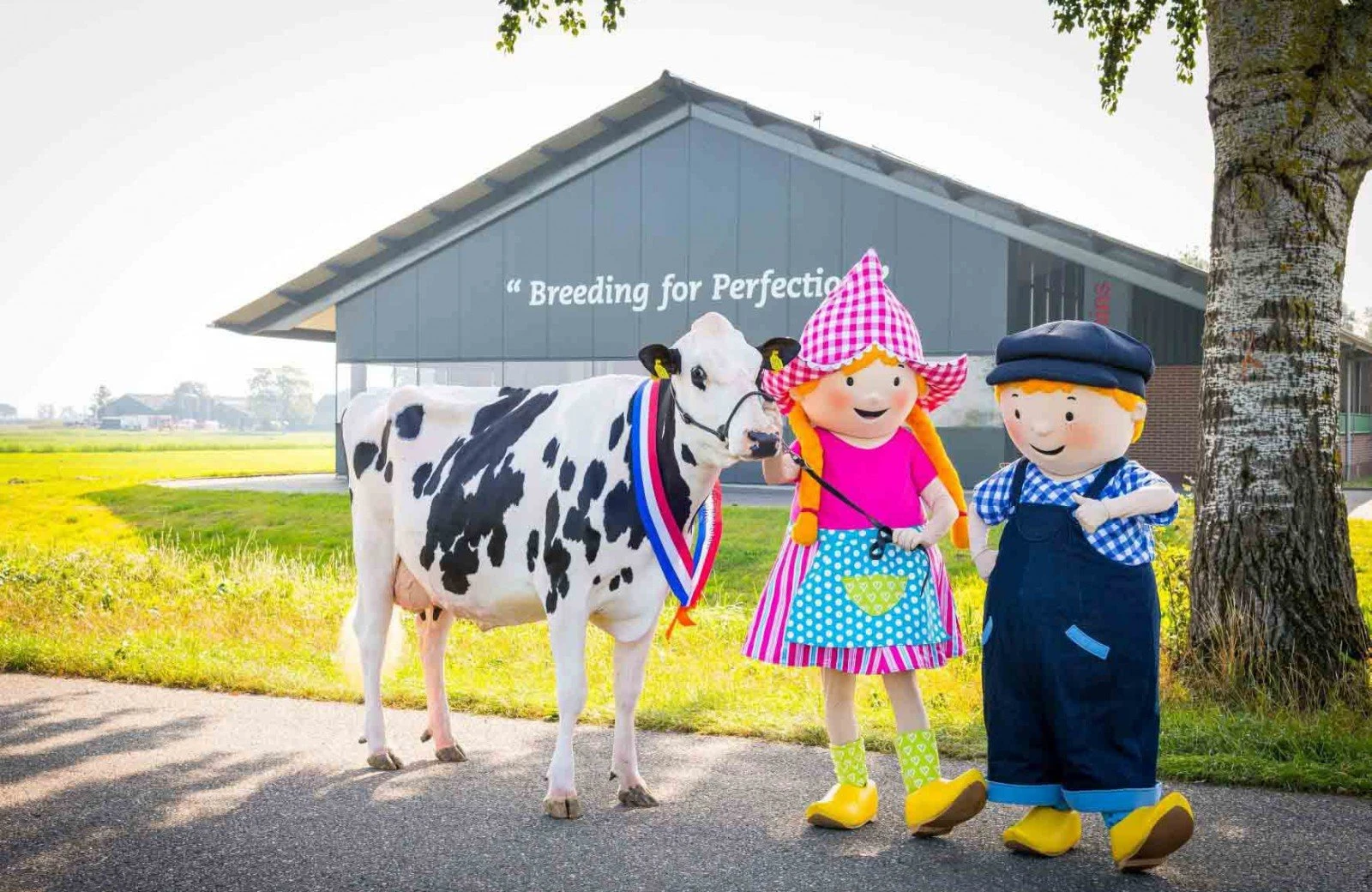 Fien en teun boerderij bons